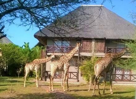 Rhulani Kruger Villa Marloth Park Exteriér fotografie